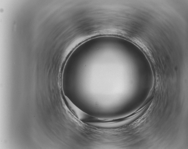 X0000086931342200704231321