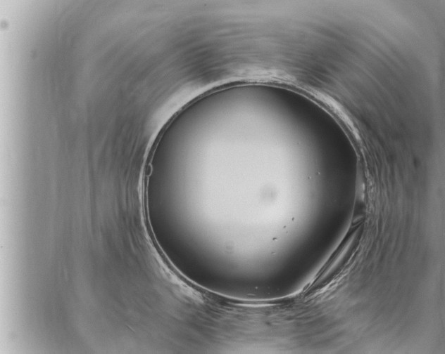 X0000086931343200704231321