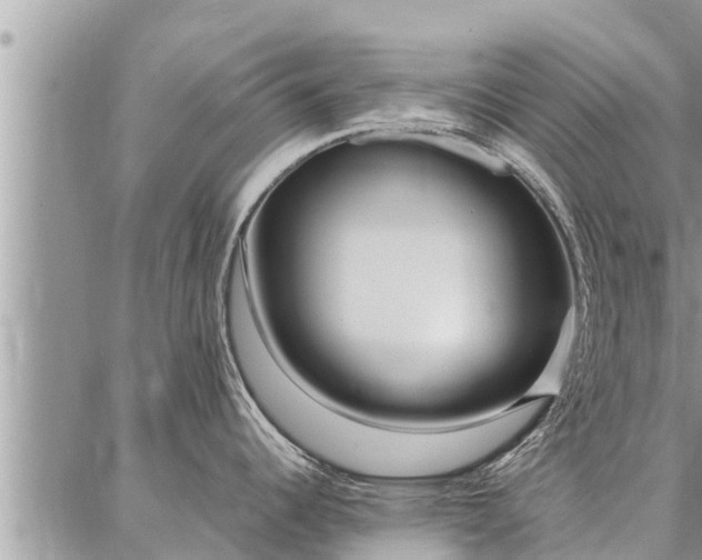 X0000086931344200704231321