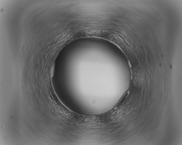 X0000086931345200704231320