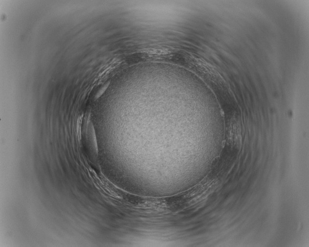 X0000086931346200704231320