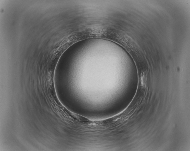 X0000086931347200704231320