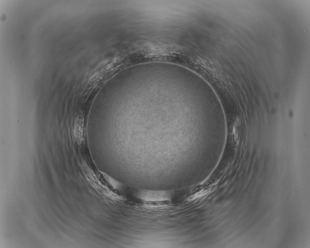 X0000086931348200704231320