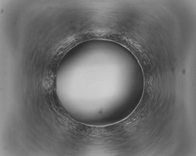 X0000086931349200704231320