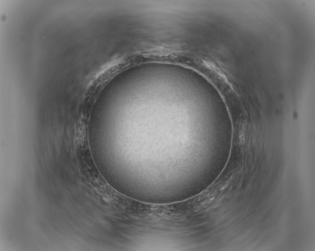 X0000086931350200704231320