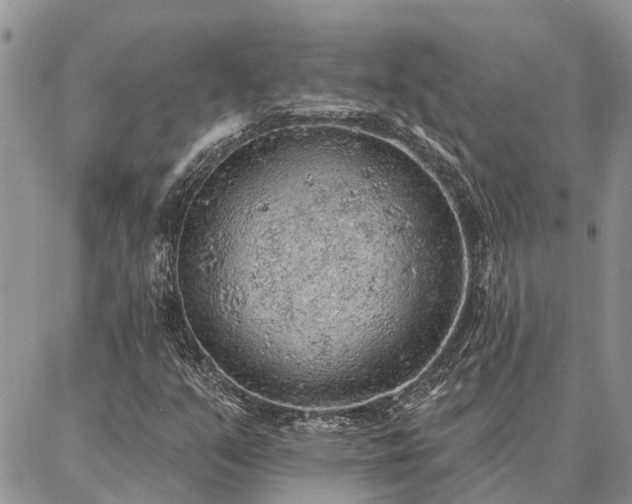 X0000086931351200704231320