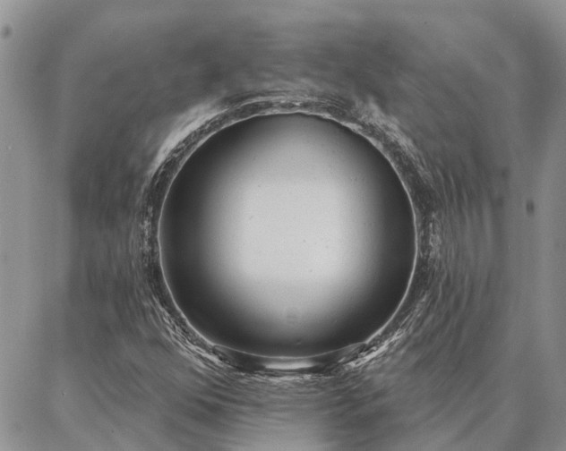 X0000086931352200704231320