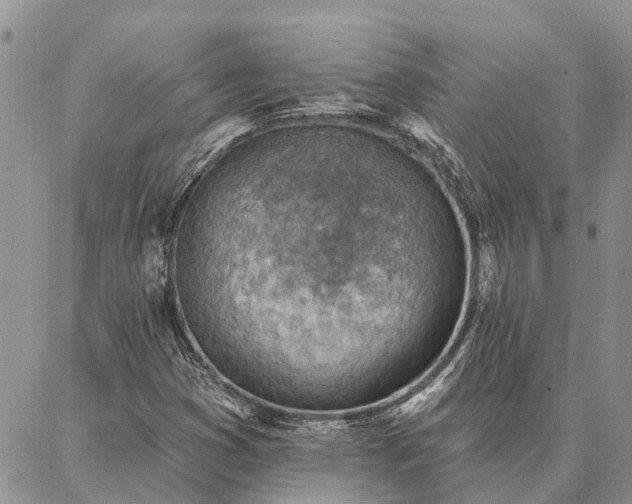 X0000086931353200704231320