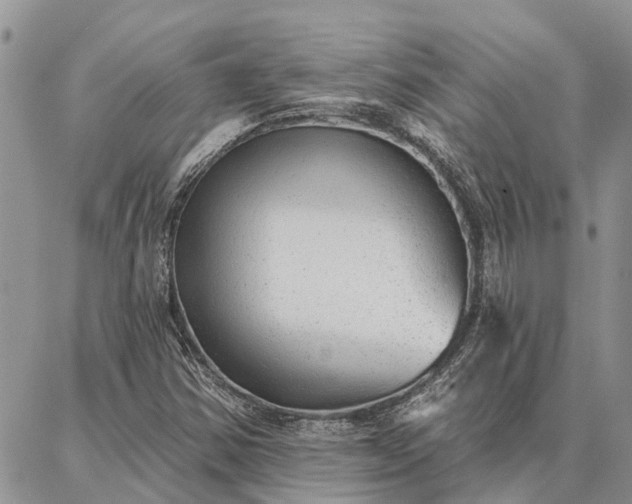 X0000086931354200704231320