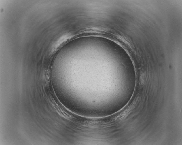 X0000086931355200704231320