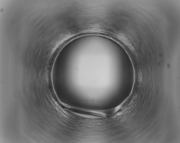 X0000086931356200704231320