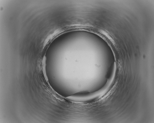 X0000086931357200704231320