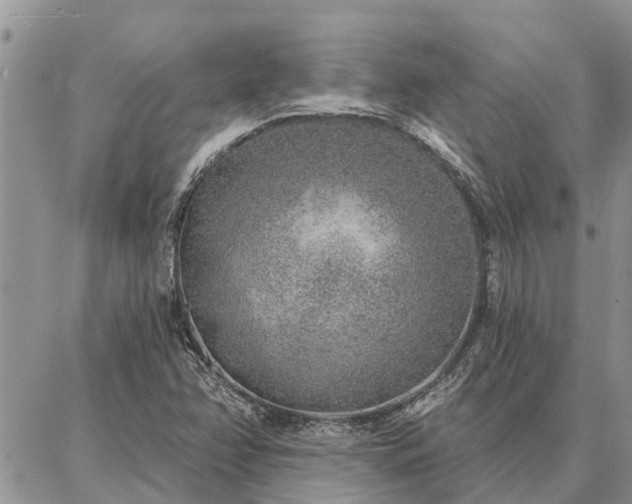 X0000086931358200704231320