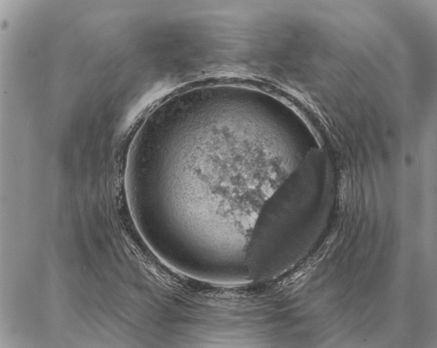 X0000086931359200704231320