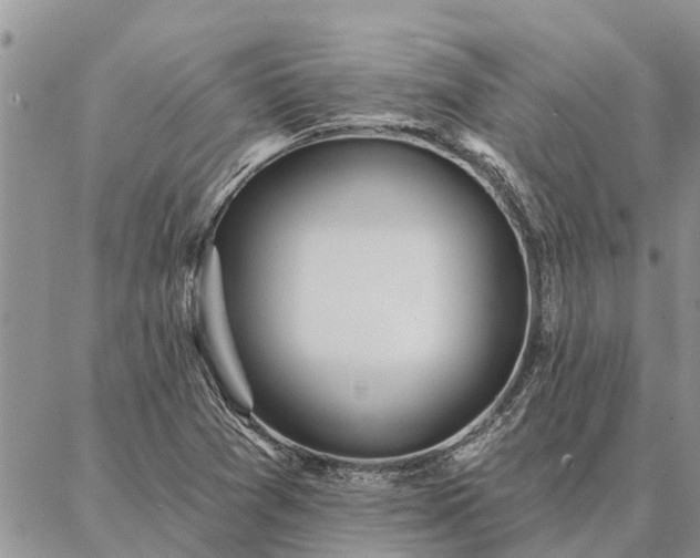 X0000086931361200704231320