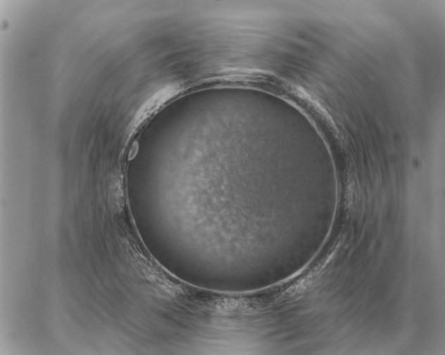 X0000086931362200704231320