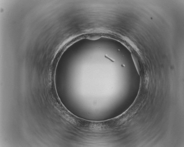 X0000086931364200704231320