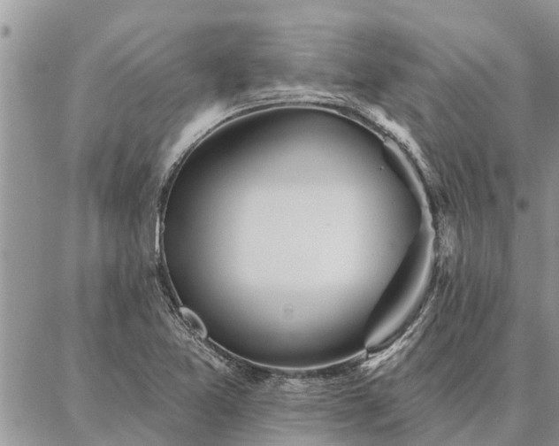 X0000086931365200704231320