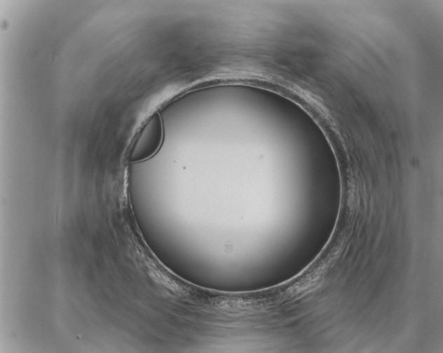 X0000086931366200704231320