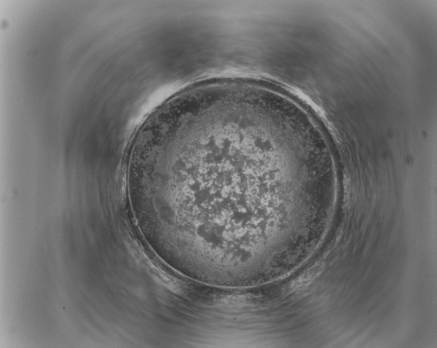 X0000086931367200704231320