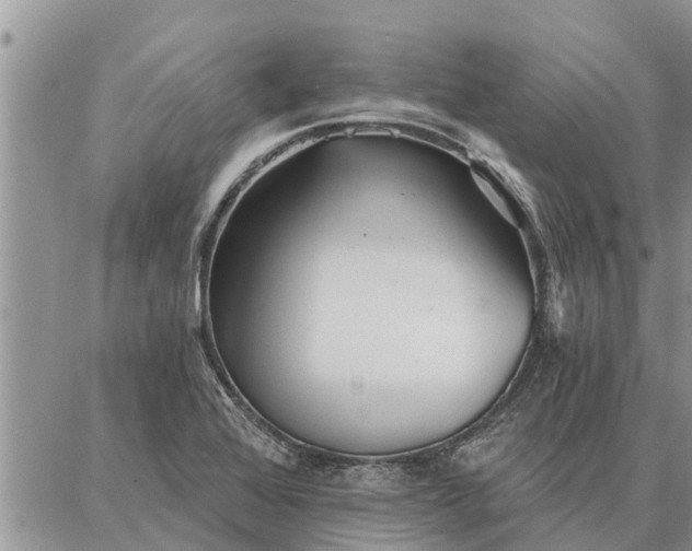 X0000086931368200704231320