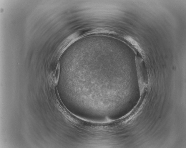 X0000086931369200704231320