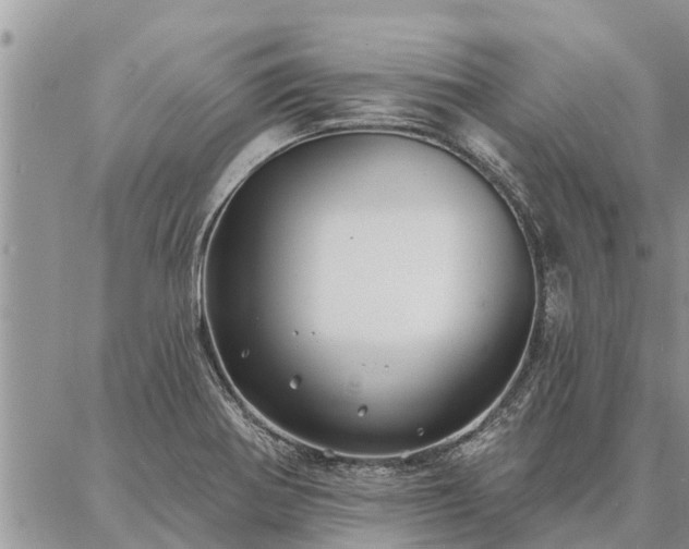 X0000086931370200704231320