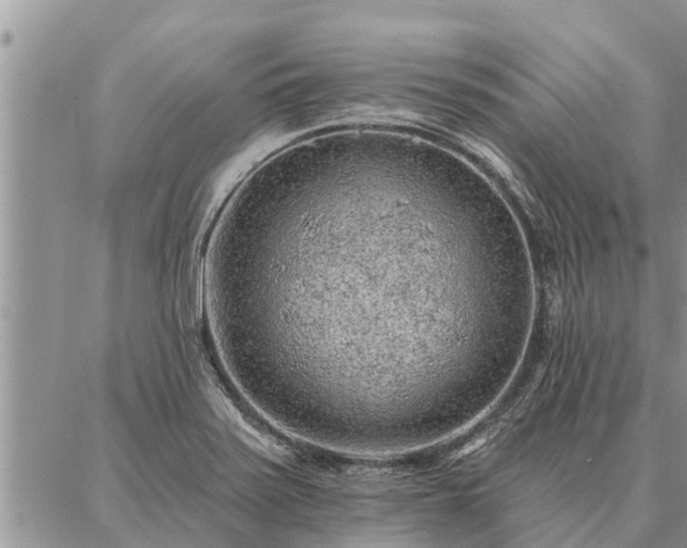 X0000086931371200704231320