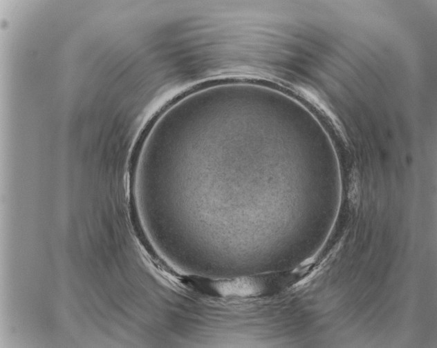 X0000086931372200704231320