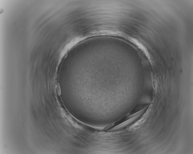 X0000086931373200704231319