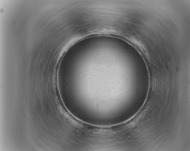 X0000086931374200704231319