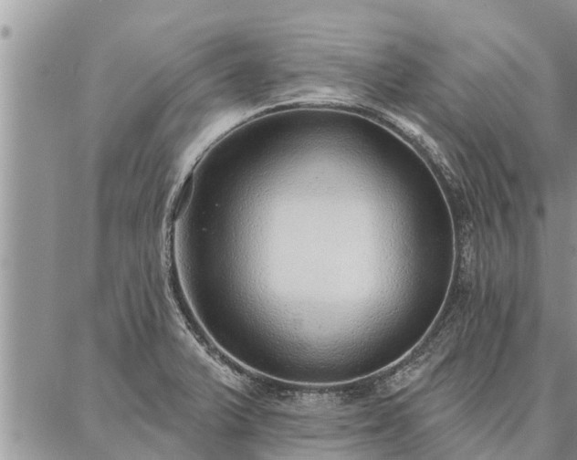 X0000086931375200704231319