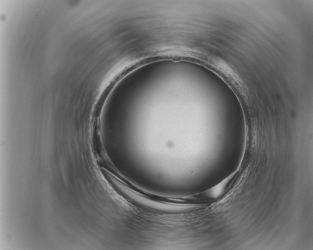 X0000086931376200704231319