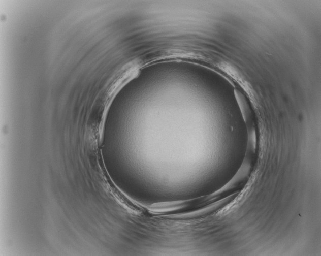 X0000086931377200704231319