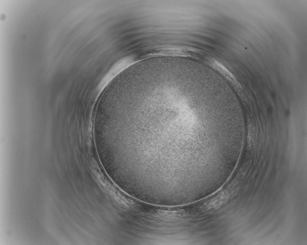 X0000086931378200704231319