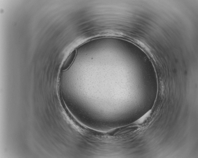 X0000086931379200704231319