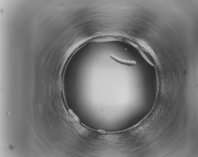 X0000086931380200704231319