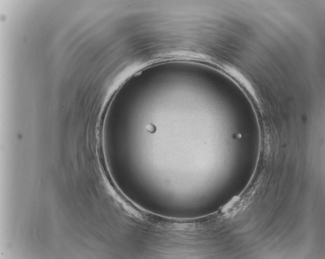 X0000086931381200704231319