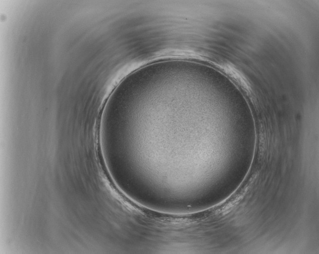 X0000086931382200704231319