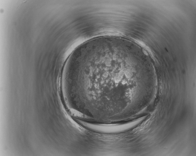 X0000086931383200704231319