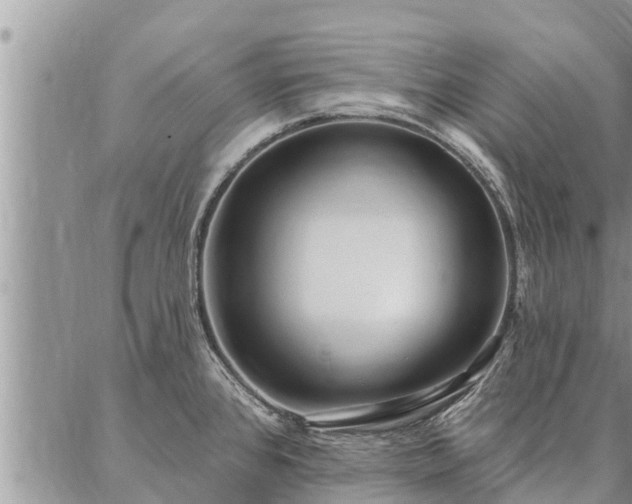 X0000086931384200704231319