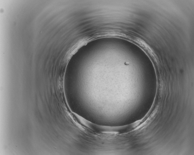 X0000086931385200704231319