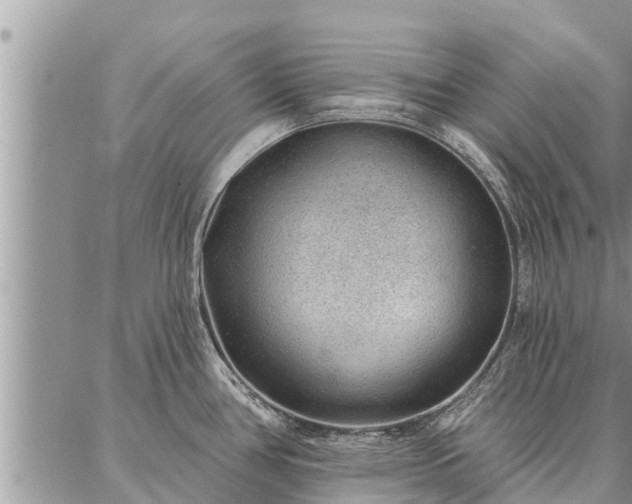 X0000086931386200704231319