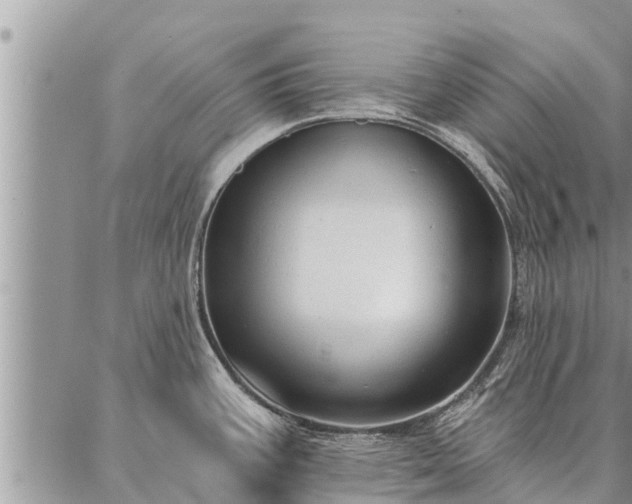 X0000086931387200704231319