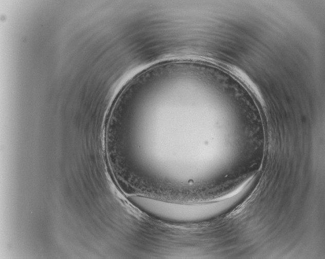 X0000086931388200704231319