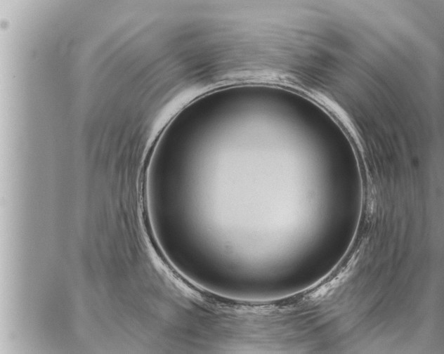 X0000086931389200704231319