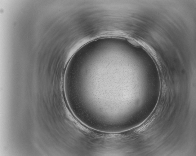 X0000086931390200704231319