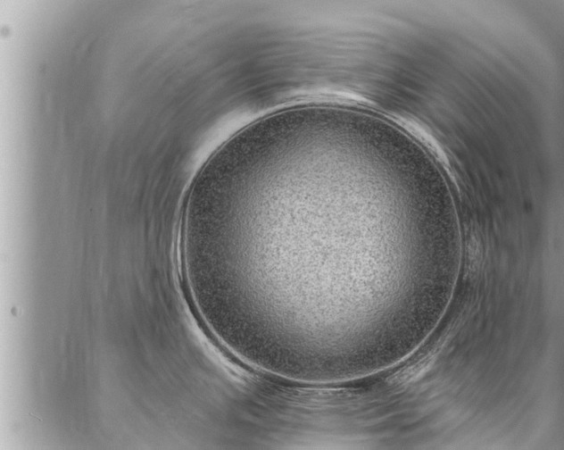 X0000086931391200704231319