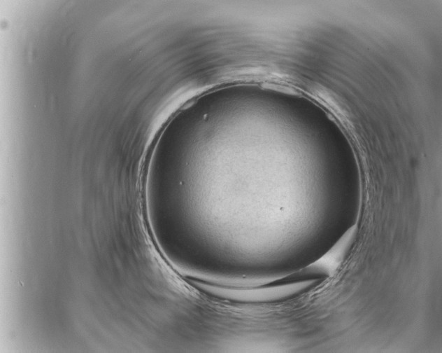 X0000086931392200704231319