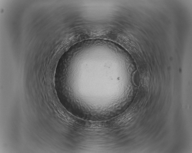 X0000086931393200704231318